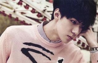 吴世勋私生饭爆料视频,揭秘明星隐私与粉丝狂热 第3张 吴世勋私生饭爆料视频,揭秘明星隐私与粉丝狂热 第3张