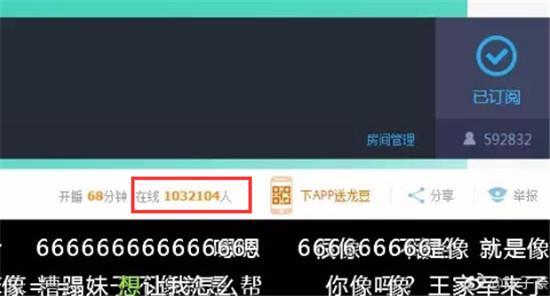 陈子豪搏击爆料视频,揭秘幕后真相与精彩瞬间